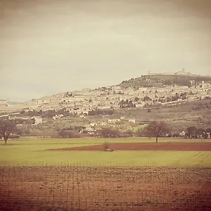 Carloni Affittacamere